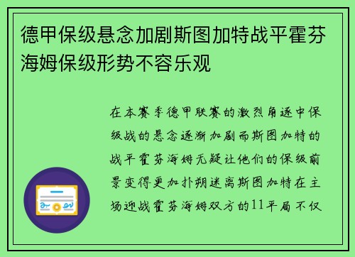德甲保级悬念加剧斯图加特战平霍芬海姆保级形势不容乐观